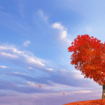 manifestation methods that work fast