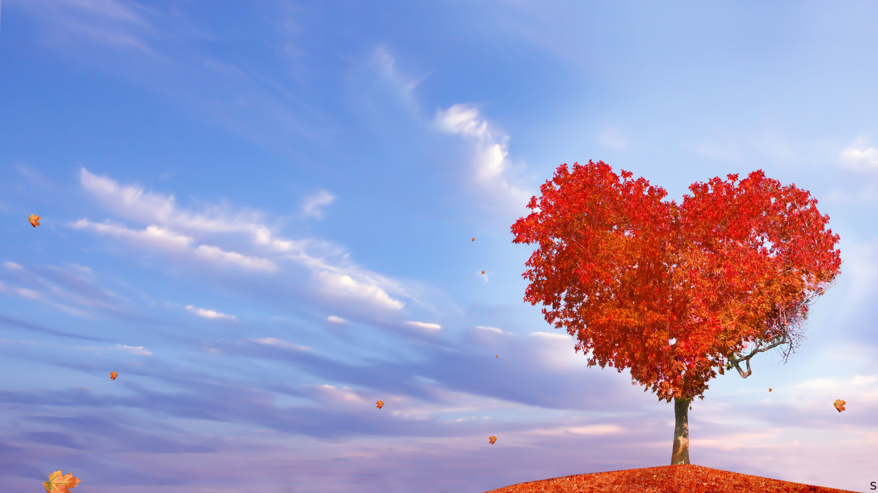 manifestation methods that work fast